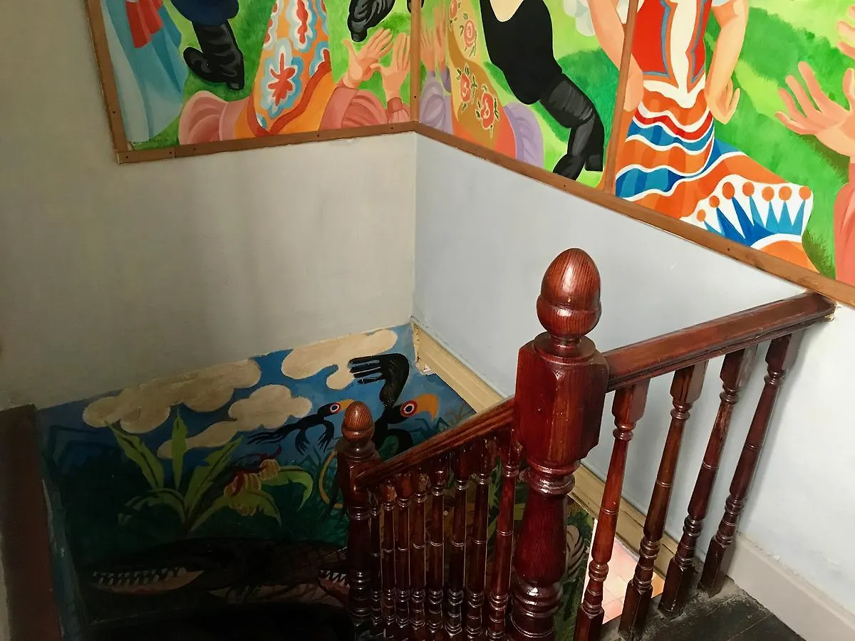 Hostel Hotel Cat And Moose Backpackers Kapstadt Südafrika
