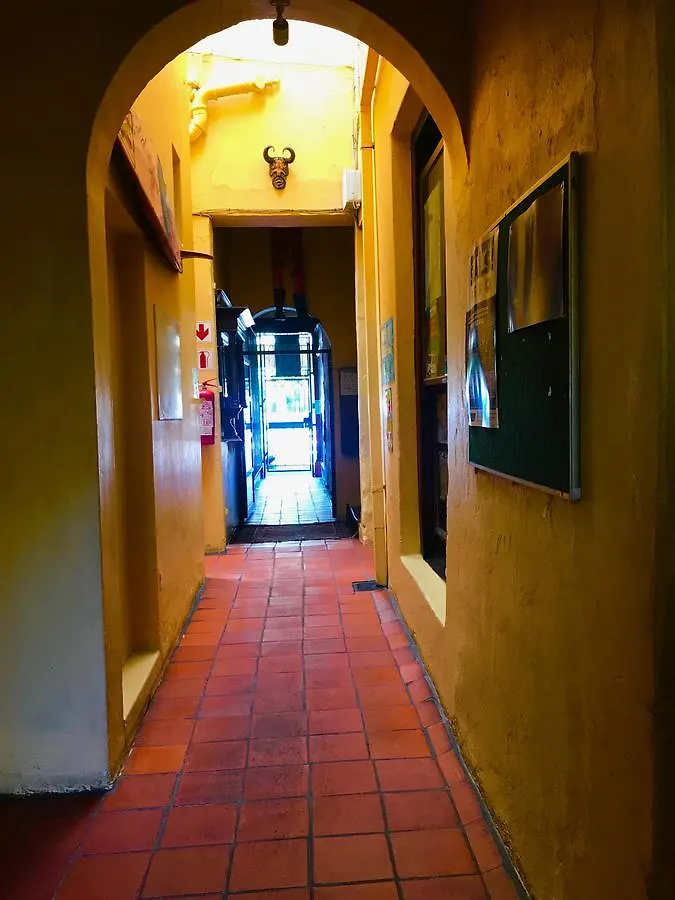Hostel Hotel Cat And Moose Backpackers Kapstadt