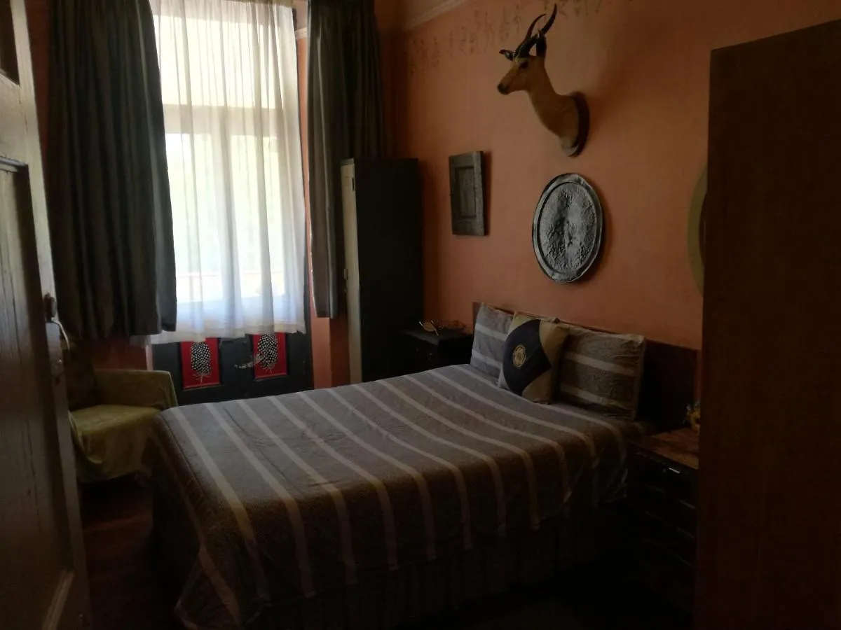 Hostel Hotel Cat And Moose Backpackers Kapstadt