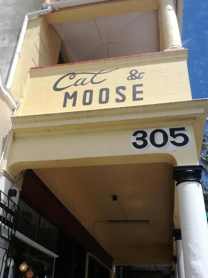 Hotel Cat And Moose Backpackers Kapstadt Hostel